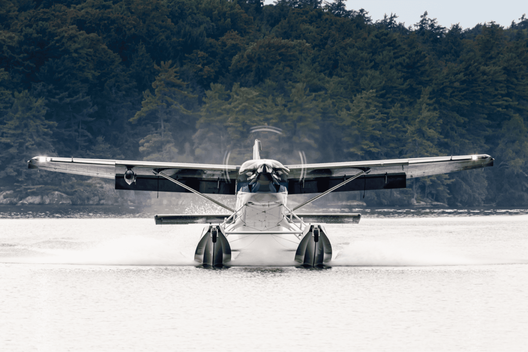 Seaplane taking off from a lake surrounded by forest.